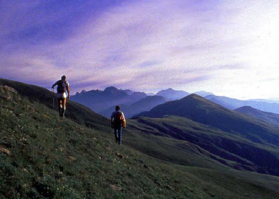 Bild Nr. 5675 - 246 mal gesehen