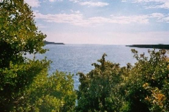 Bild Nr. 5719 - 237 mal gesehen