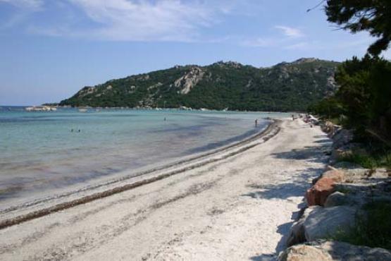 Bild Nr. 5984 - 391 mal gesehen