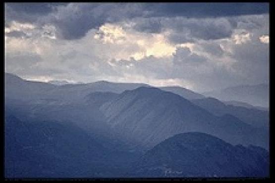 Bild Nr. 5990 - 319 mal gesehen