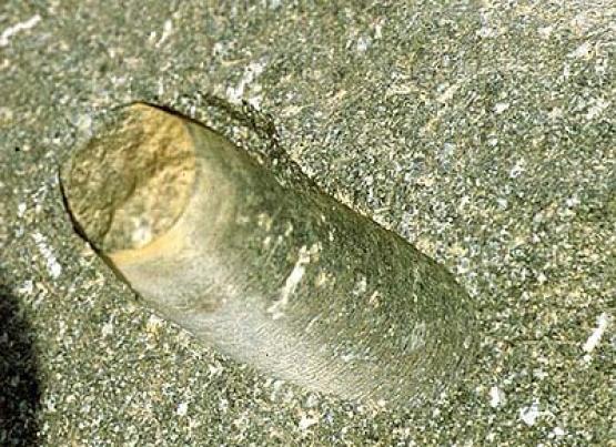 Bild Nr. 6016 - 769 mal gesehen Bild Nr. 6016 - 769 mal gesehen