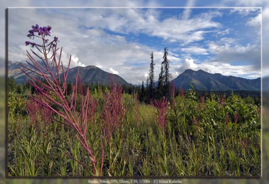 Bild Nr. 6040 - 276 mal gesehen Bild Nr. 6040 - 276 mal gesehen