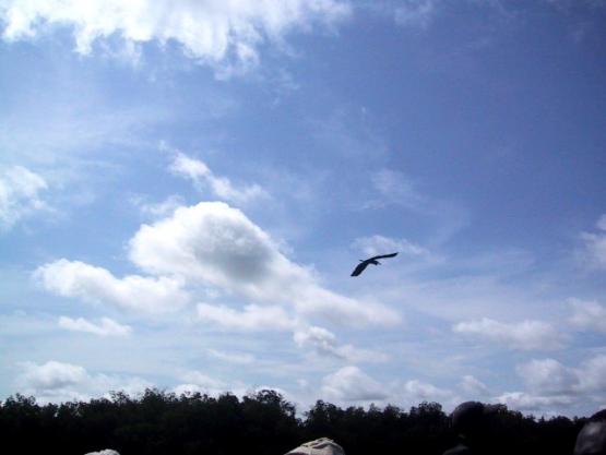 Bild Nr. 6113 - 301 mal gesehen