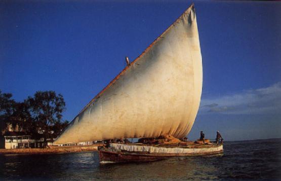 Bild Nr. 6253 - 1515 mal gesehen Bild Nr. 6253 - 1515 mal gesehen