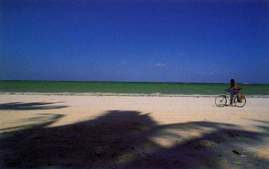 Bild Nr. 6257 - 1650 mal gesehen Bild Nr. 6257 - 1650 mal gesehen