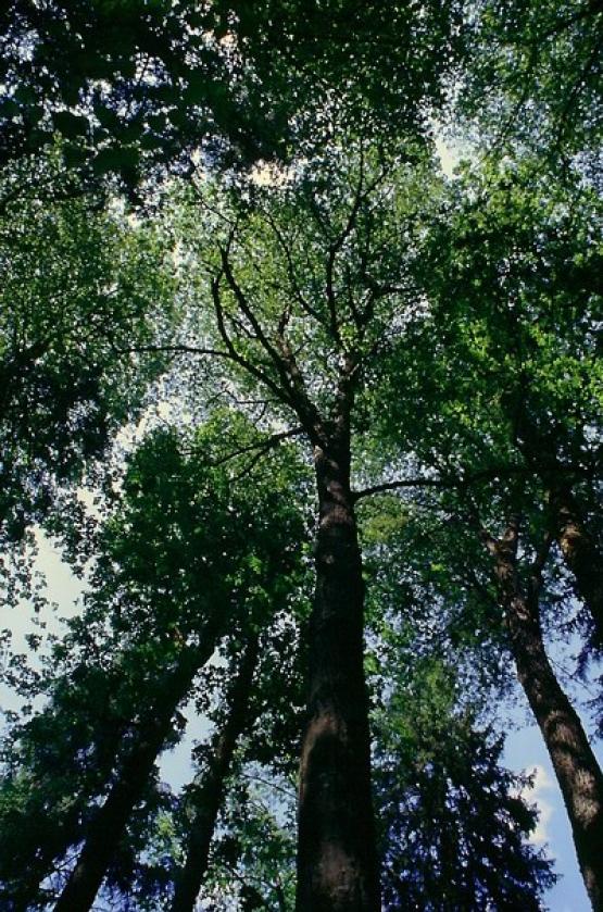 Bild Nr. 6331 - 772 mal gesehen Bild Nr. 6331 - 772 mal gesehen