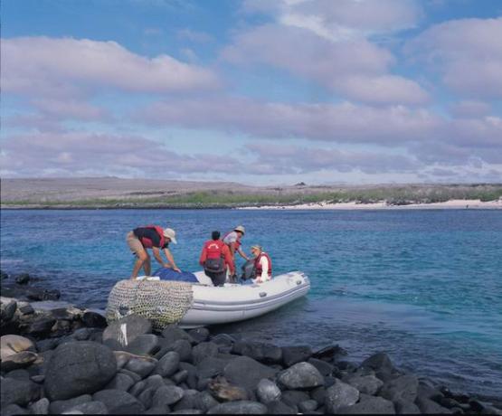 Bild Nr. 6480 - 349 mal gesehen