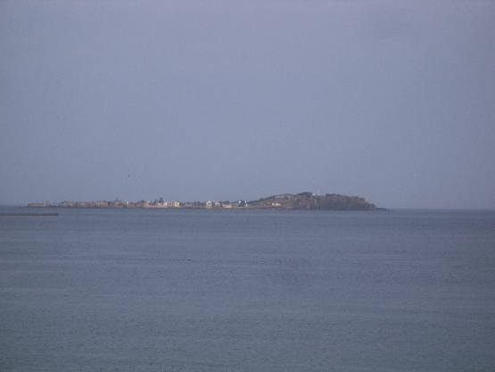 Bild Nr. 6548 - 455 mal gesehen Bild Nr. 6548 - 455 mal gesehen