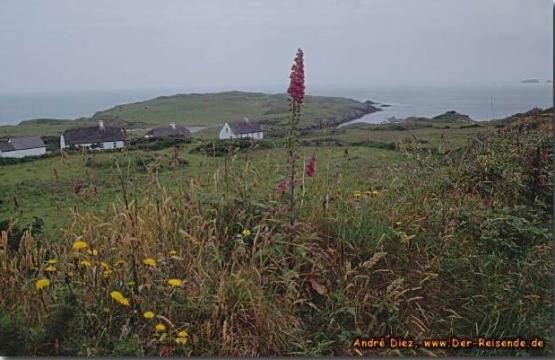 Bild Nr. 698 - 351 mal gesehen Bild Nr. 698 - 351 mal gesehen