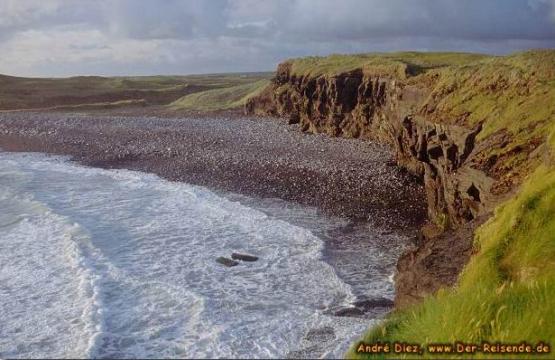 Bild Nr. 701 - 216 mal gesehen