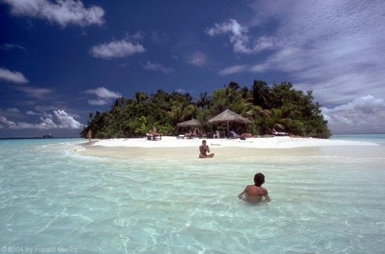 Bild Nr. 7434 - 337 mal gesehen Bild Nr. 7434 - 337 mal gesehen