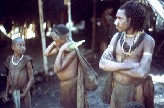 Bild Nr. 7597 - 833 mal gesehen Bild Nr. 7597 - 833 mal gesehen