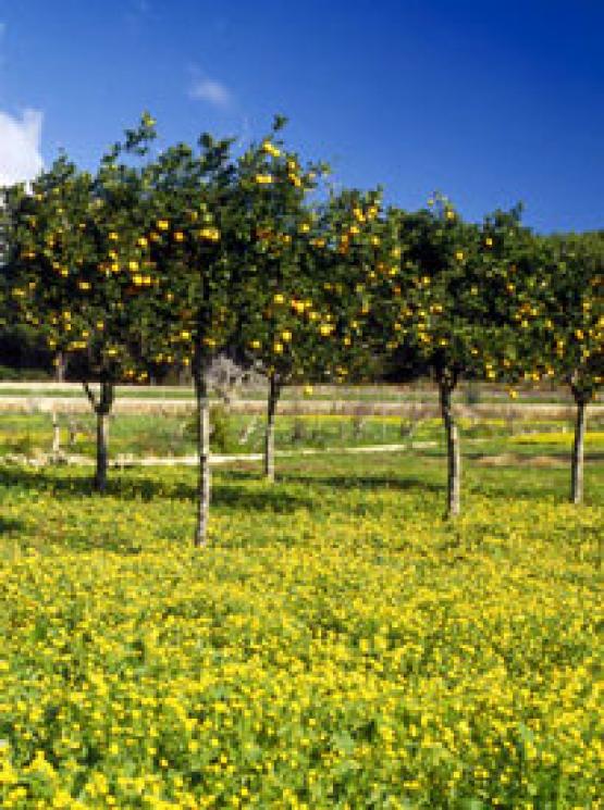 Bild Nr. 7650 - 287 mal gesehen Bild Nr. 7650 - 287 mal gesehen