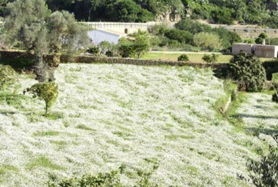 Bild Nr. 7651 - 280 mal gesehen Bild Nr. 7651 - 280 mal gesehen