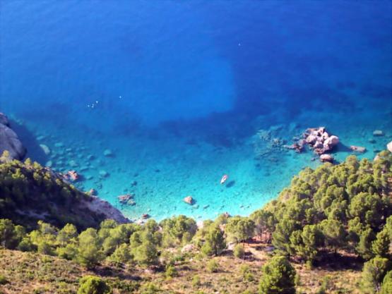 Bild Nr. 806 - 121 mal gesehen