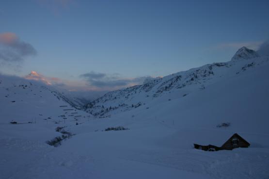 Bild Nr. 8184 - 327 mal gesehen