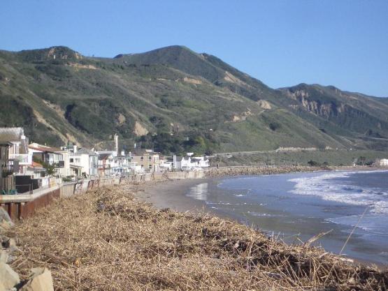 Bild Nr. 8223 - 183 mal gesehen