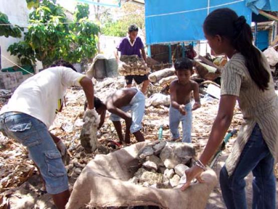 Bild Nr. 8383 - 4371 mal gesehen