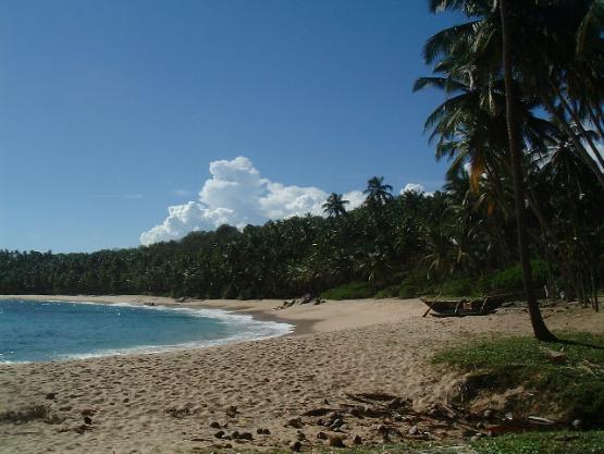 Bild Nr. 85 - 1900 mal gesehen