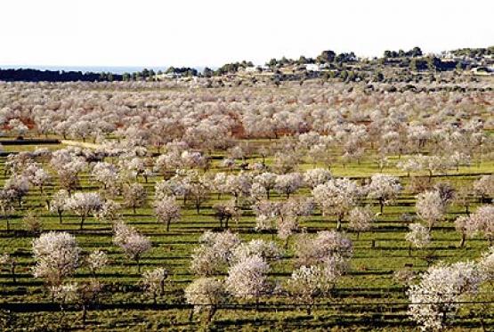 Bild Nr. 8785 - 301 mal gesehen Bild Nr. 8785 - 301 mal gesehen