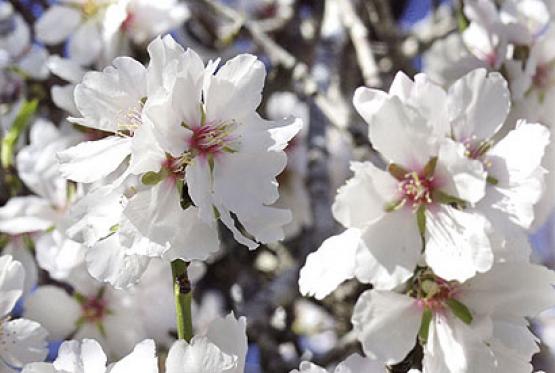 Bild Nr. 8786 - 345 mal gesehen Bild Nr. 8786 - 345 mal gesehen