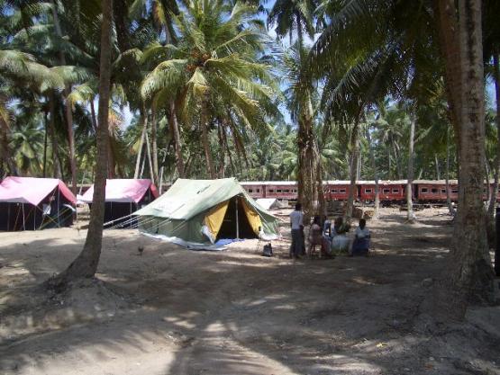 Bild Nr. 8858 - 300 mal gesehen