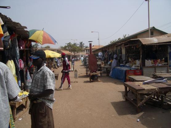 Bild Nr. 8874 - 243 mal gesehen