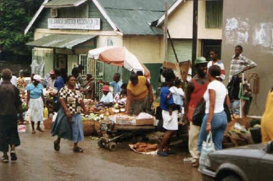 Bild Nr. 8908 - 308 mal gesehen Bild Nr. 8908 - 308 mal gesehen