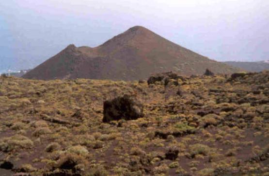 Bild Nr. 8928 - 346 mal gesehen Bild Nr. 8928 - 346 mal gesehen