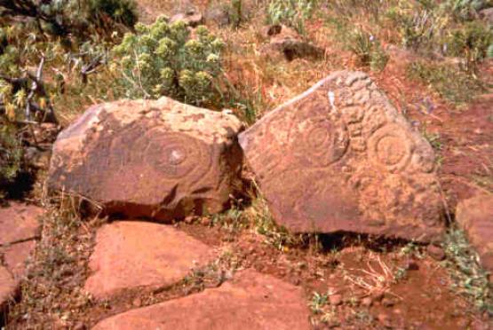 Bild Nr. 8929 - 256 mal gesehen Bild Nr. 8929 - 256 mal gesehen