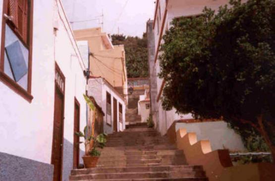 Bild Nr. 8930 - 246 mal gesehen Bild Nr. 8930 - 246 mal gesehen