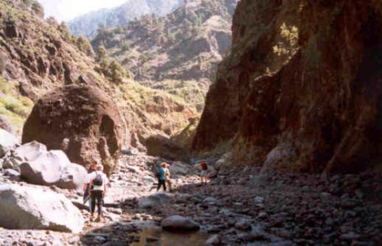 Bild Nr. 8932 - 232 mal gesehen Bild Nr. 8932 - 232 mal gesehen