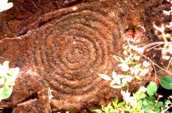 Bild Nr. 8935 - 225 mal gesehen Bild Nr. 8935 - 225 mal gesehen