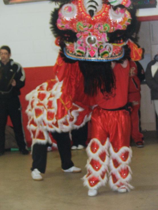 Bild Nr. 8954 - 314 mal gesehen Bild Nr. 8954 - 314 mal gesehen