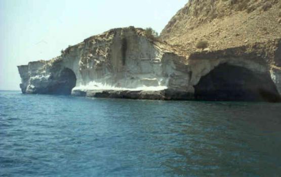 Bild Nr. 9010 - 382 mal gesehen Bild Nr. 9010 - 382 mal gesehen