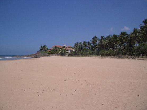 Bild Nr. 9033 - 2893 mal gesehen