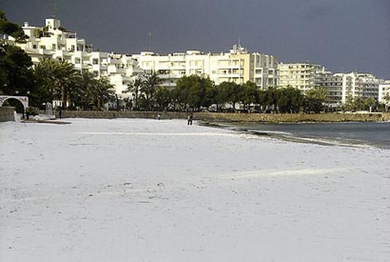 Bild Nr. 9223 - 336 mal gesehen Bild Nr. 9223 - 336 mal gesehen