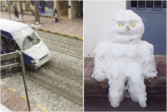 Bild Nr. 9224 - 263 mal gesehen Bild Nr. 9224 - 263 mal gesehen