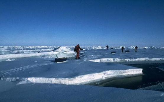 Bild Nr. 9226 - 705 mal gesehen Bild Nr. 9226 - 705 mal gesehen