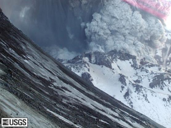 Bild Nr. 9336 - 212 mal gesehen