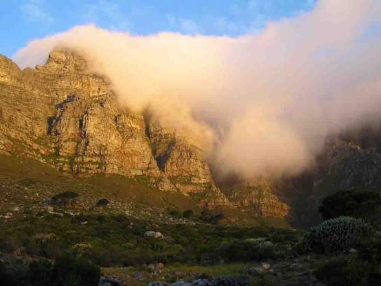 Bild Nr. 9428 - 225 mal gesehen