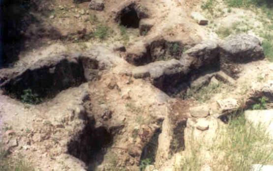 Bild Nr. 9521 - 290 mal gesehen Bild Nr. 9521 - 290 mal gesehen