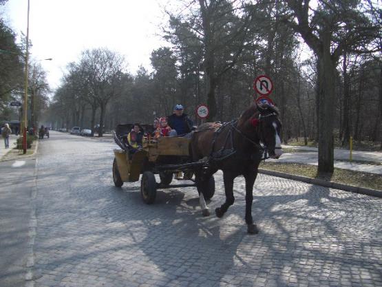 Bild Nr. 9601 - 179 mal gesehen