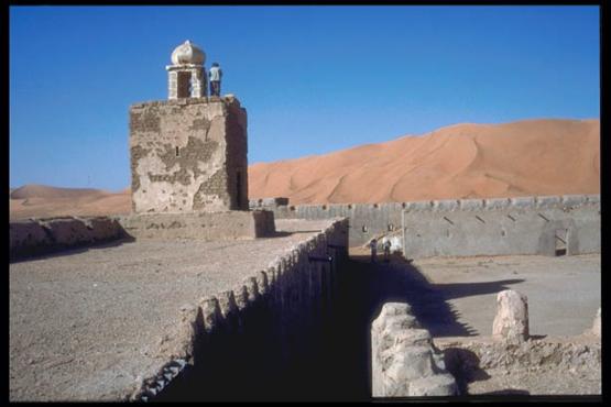 Bild Nr. 995 - 234 mal gesehen